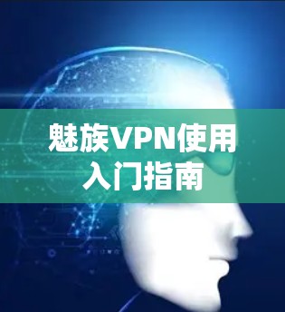 魅族VPN使用入门指南