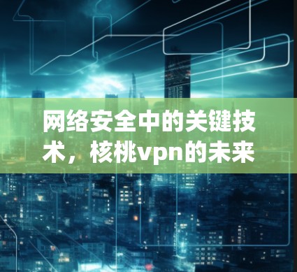 网络安全中的关键技术，核桃vpn的未来展望
