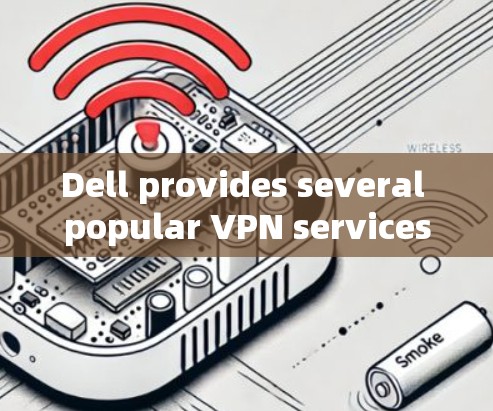 Dell provides several popular VPN services,including: