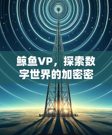 鲸鱼VP，探索数字世界的加密密码
