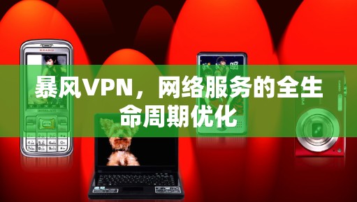 暴风VPN，网络服务的全生命周期优化