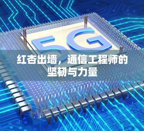 红杏出墙，通信工程师的坚韧与力量