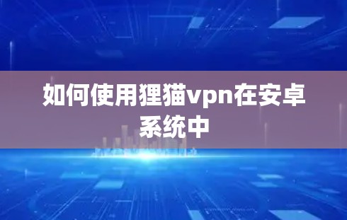 如何使用狸猫vpn在安卓系统中