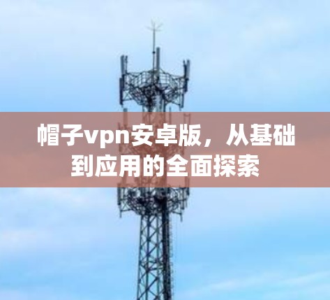 帽子vpn安卓版，从基础到应用的全面探索