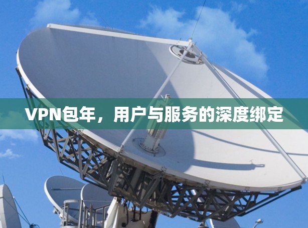 VPN包年，用户与服务的深度绑定