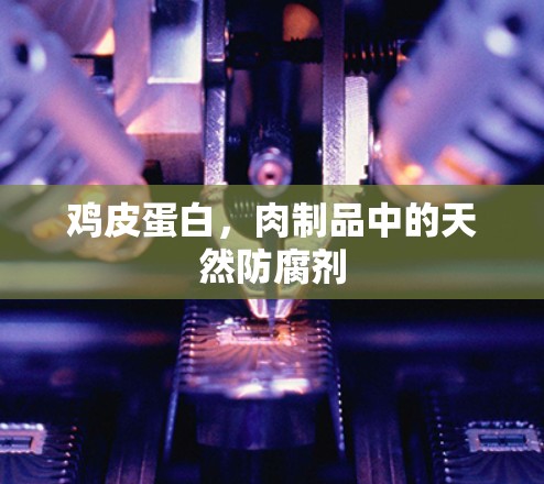 鸡皮蛋白，肉制品中的天然防腐剂