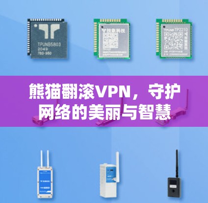 熊猫翻滚VPN，守护网络的美丽与智慧