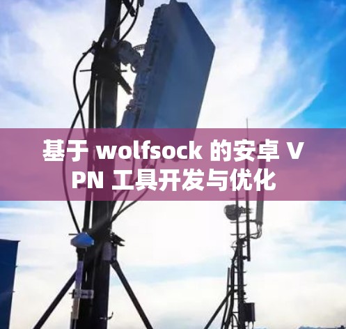 基于 wolfsock 的安卓 VPN 工具开发与优化
