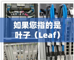 如果您指的是叶子（Leaf）这通常用于描述一些植物或生态系统中的植物组织，或者在生物学或计算机科学中的某些概念