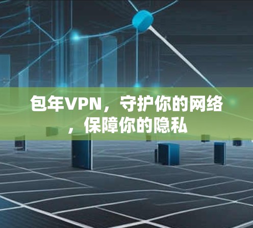包年VPN，守护你的网络，保障你的隐私