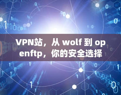 VPN站，从 wolf 到 openftp，你的安全选择