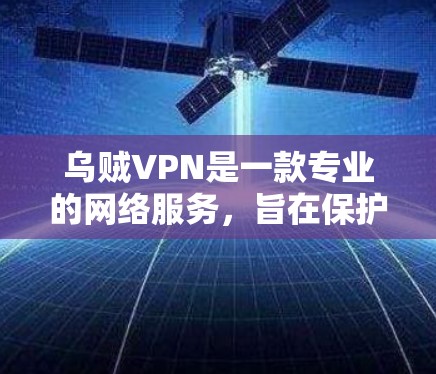 乌贼VPN是一款专业的网络服务，旨在保护用户的数据安全。以下是对乌贼VPN的详细介绍
