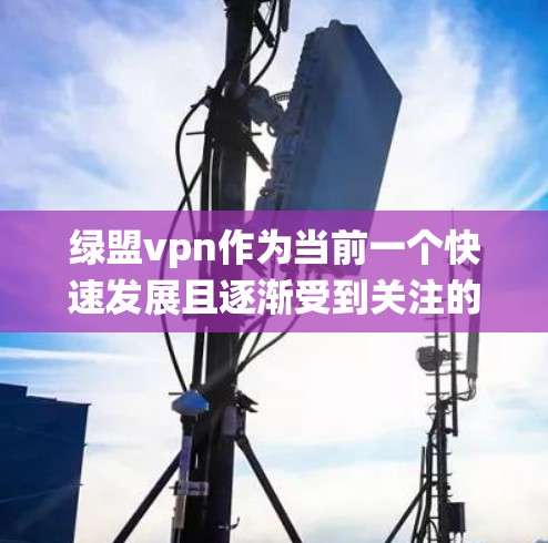 绿盟vpn作为当前一个快速发展且逐渐受到关注的网络服务项目，涵盖了多个领域，包括加密通信、VPN、网络保护和数据传输等。以下是对该项目的系统性分析