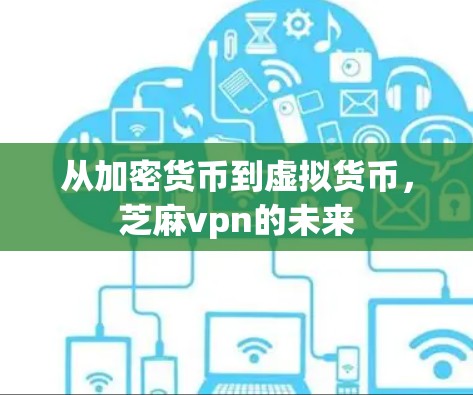 从加密货币到虚拟货币，芝麻vpn的未来