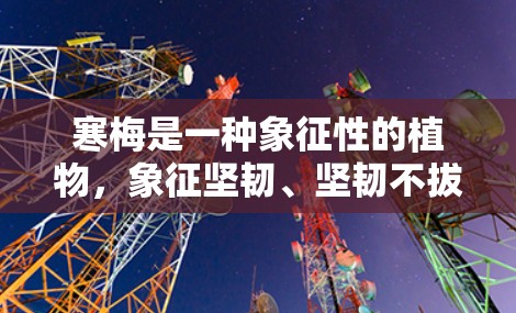 寒梅是一种象征性的植物，象征坚韧、坚韧不拔和坚韧不拔的精神。它常被用来形容一个人在困境中坚持不屈的精神，比如面对困难时的坚持、克服恐惧的勇气，或者在人生中选择坚持自己的信念和志向