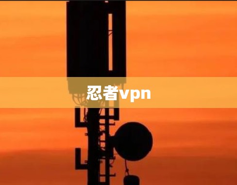 忍者vpn