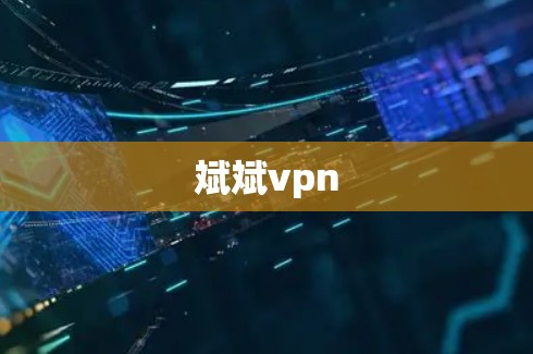 斌斌vpn