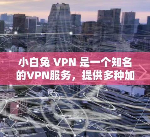 小白兔 VPN 是一个知名的VPN服务，提供多种加密方式让用户访问安全的网络资源。以下是关于小白兔 VPN 的详细信息