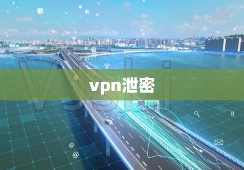 vpn泄密