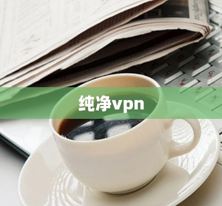 纯净vpn