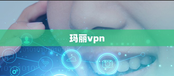 玛丽vpn