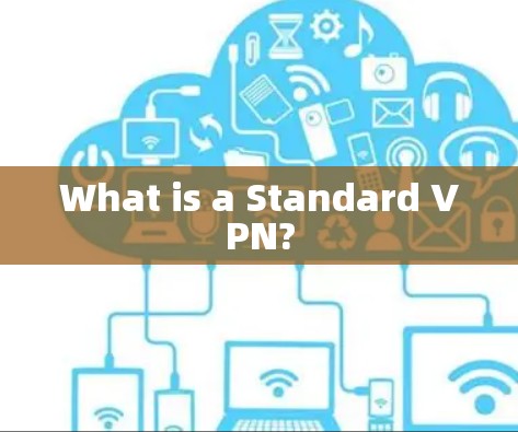 What is a Standard VPN?