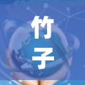 竹子vpn不能用可能是指该软件或应用在某些情况下无法运行或出现错误。以下是一些可能的原因和解决方法
