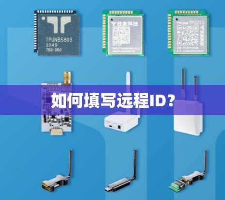 如何填写远程ID？