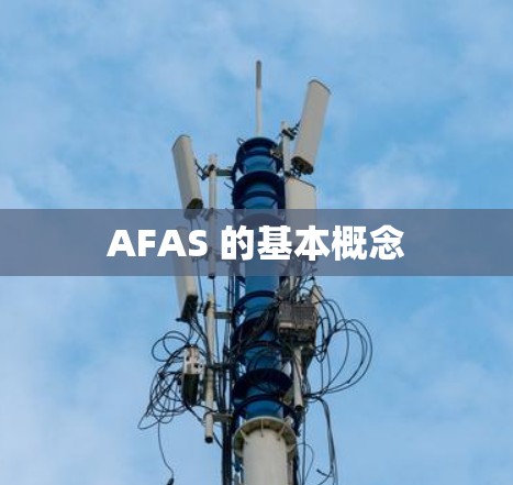 AFAS 的基本概念