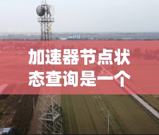 加速器节点状态查询是一个用于检查加速器状态的功能，帮助用户快速发现和解决问题，确保系统稳定。以下是对该功能的详细总结