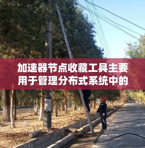 加速器节点收藏工具主要用于管理分布式系统中的节点，支持多种存储格式，提供文件分发、复制、同步、数据权限管理、数据备份、恢复等功能。以下是详细的使用步骤和注意事项