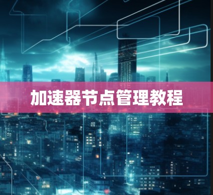 加速器节点管理教程