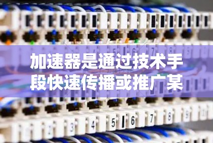 加速器是通过技术手段快速传播或推广某个产品或平台的工具，常用于社交媒体领域。海外社交平台如微信、微博等在中国并不常见，因此通过加速器推广这些平台是常见的策略