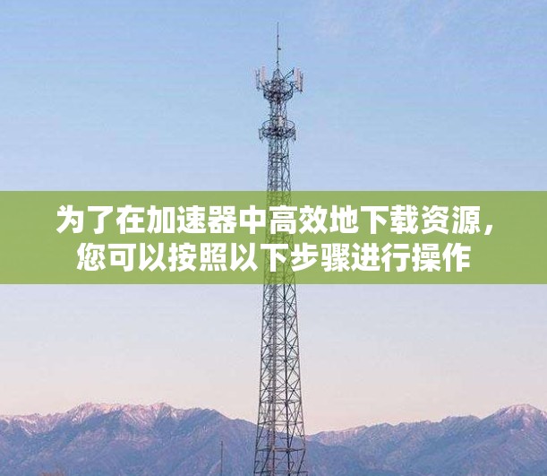 为了在加速器中高效地下载资源，您可以按照以下步骤进行操作