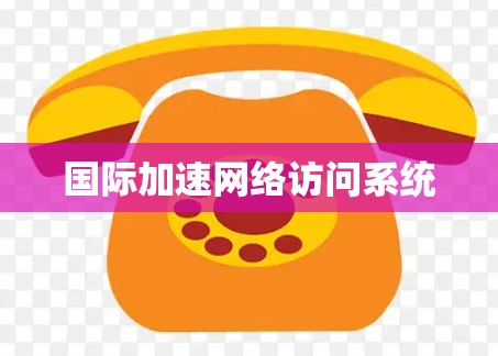 国际加速网络访问系统