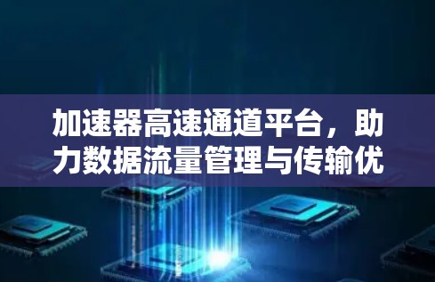加速器高速通道平台，助力数据流量管理与传输优化