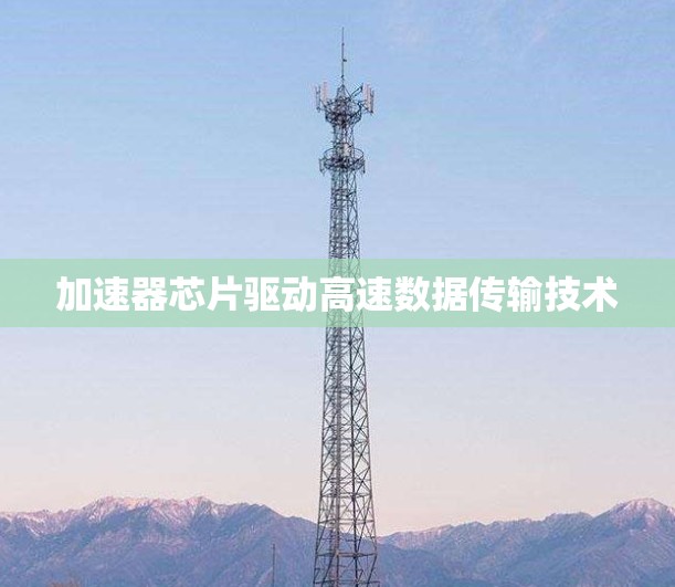 加速器芯片驱动高速数据传输技术