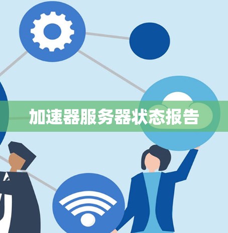 加速器服务器状态报告