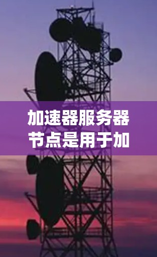 加速器服务器节点是用于加速各种服务器的工具，能够高效运行网络界面、前端的样式heets和后端的JavaScript。在加速器中使用WPF和ActiveX组件，涉及自动化解析或嵌入，以提升性能