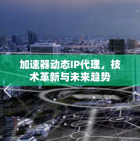 加速器动态IP代理，技术革新与未来趋势