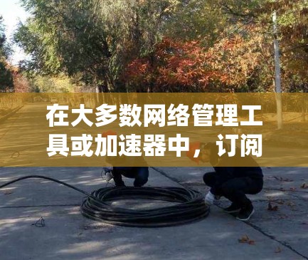在大多数网络管理工具或加速器中，订阅节点通常用于管理网络接入或数据流。为了导入节点到加速器，您可以按照以下步骤操作