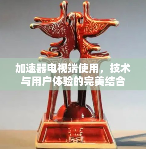 加速器电视端使用，技术与用户体验的完美结合
