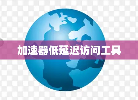 加速器低延迟访问工具