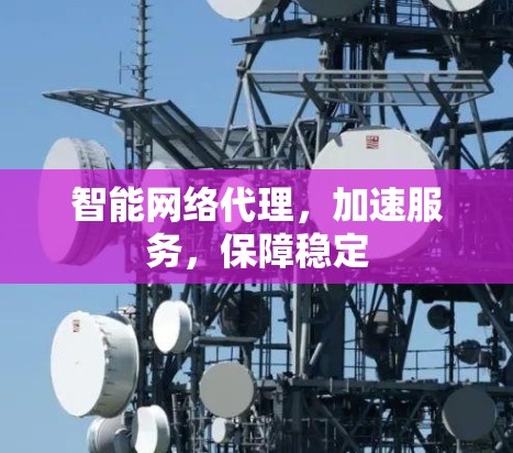 智能网络代理，加速服务，保障稳定