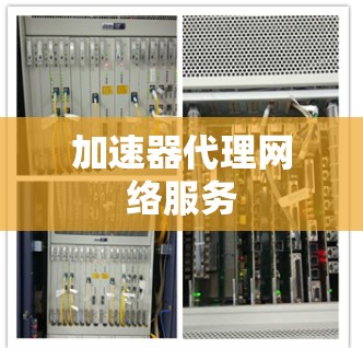 加速器代理网络服务