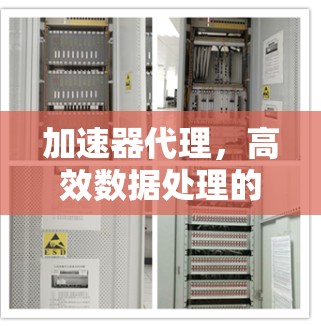 加速器代理，高效数据处理的实用解决方案