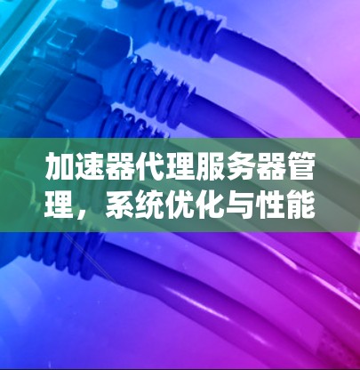 加速器代理服务器管理，系统优化与性能提升