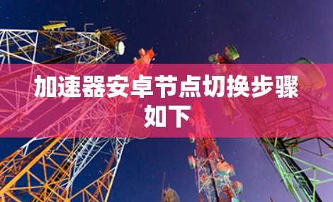 加速器安卓节点切换步骤如下