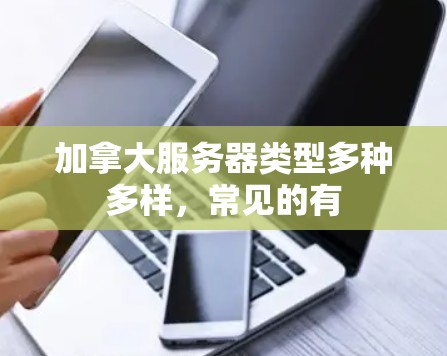 加拿大服务器类型多种多样，常见的有