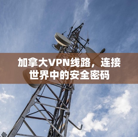 加拿大VPN线路，连接世界中的安全密码